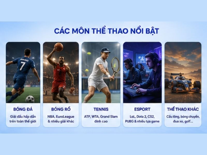 Các bộ môn thể thao nổi bật tại LLWIN