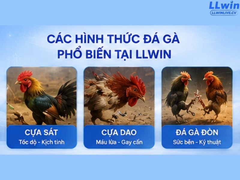 Các hình thức đá gà phổ biến tại LLWIN