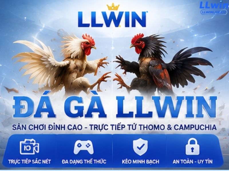 Đá Gà LLWIN