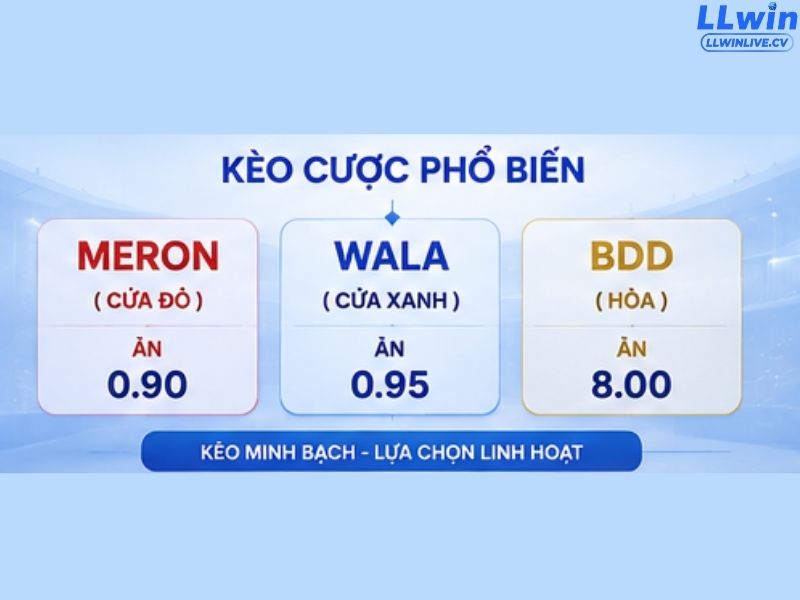 Đa dạng các thể thức đá gà