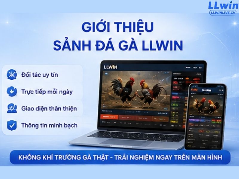 Giới thiệu sảnh đá gà LLWIN