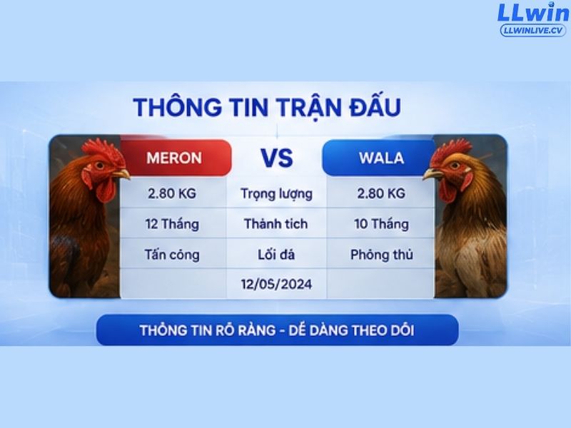 Thông tin trận đấu được trình bày trực quan