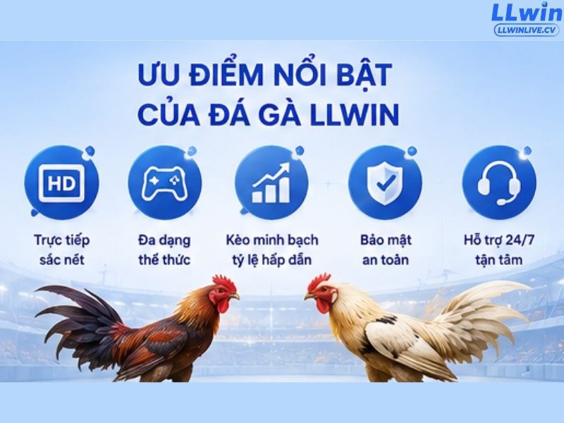 Ưu điểm nổi bật của đá gà LLWIN