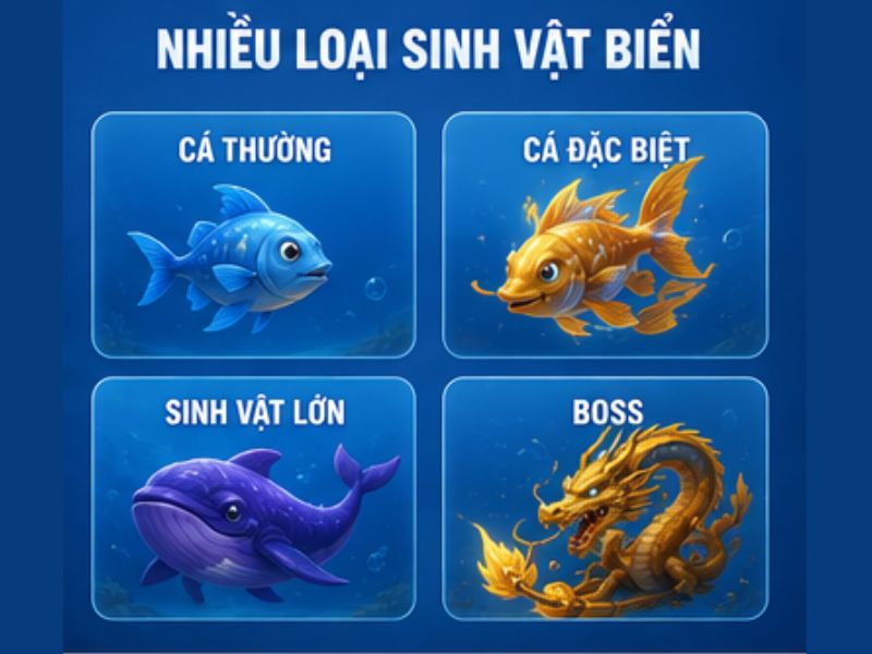 Nhiều loại sinh vật biển