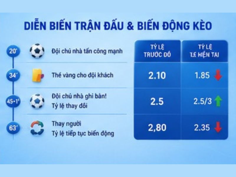 Theo dõi cả trận đấu thay vì chỉ nhìn tỷ lệ